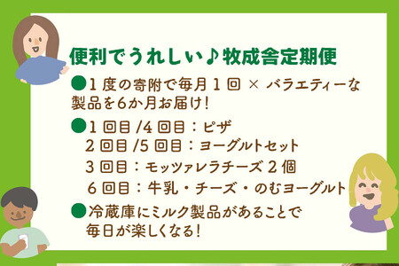 【全6回お届け】牧成舎の飛騨乳製品定期便｜ピザ・ヨーグルト・チーズ・牛乳詰め合わせ｜乳製品 詰合せ デザート 惣菜 乳飲料 牧成舎DF233