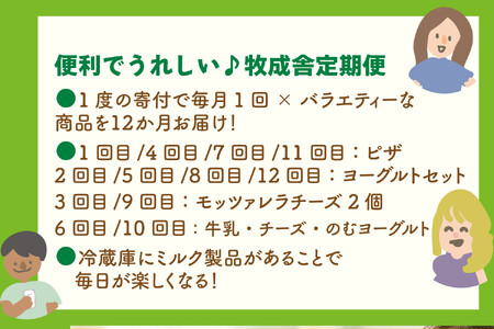 【全12回お届け】牧成舎の乳製品定期便｜ピザ・ヨーグルト・チーズ・牛乳を毎月楽しむ｜乳製品 詰合せ デザート 惣菜 乳飲料 牧成舎 DF235