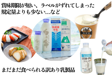 【6か月定期便】牧成舎の訳あり乳製品福袋（牛乳・ヨーグルト・チーズ詰め合わせ）訳あり 福袋 乳製品 チーズ 詰め合せ  | 牧成舎 DF229