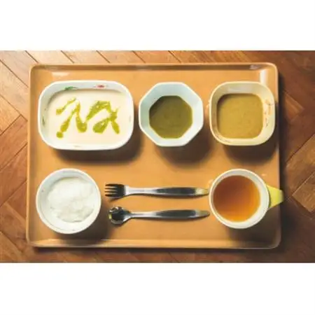 介護用GSミキサー食・おまかせ3日間セット(3食×3日間分)【配送不可地域：離島】【1650119】