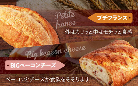 フランスパン ハード系パン6個[MGU007]