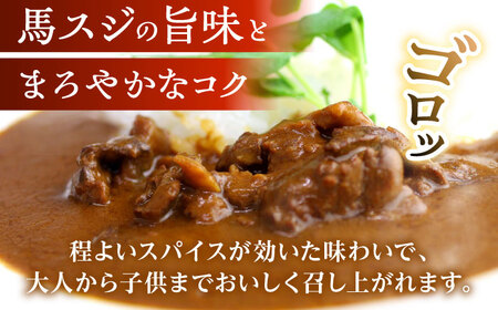 熊本 馬肉 馬スジのカレー 30食分（210g/食）カレー[AYAF116]