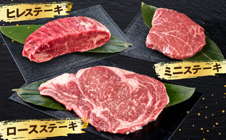 熊本あか牛 ステーキ食べ比べ3種セット（ミニステーキ・ヒレステーキ・ロースステーキ）計約1410g牛肉[AYCB088]