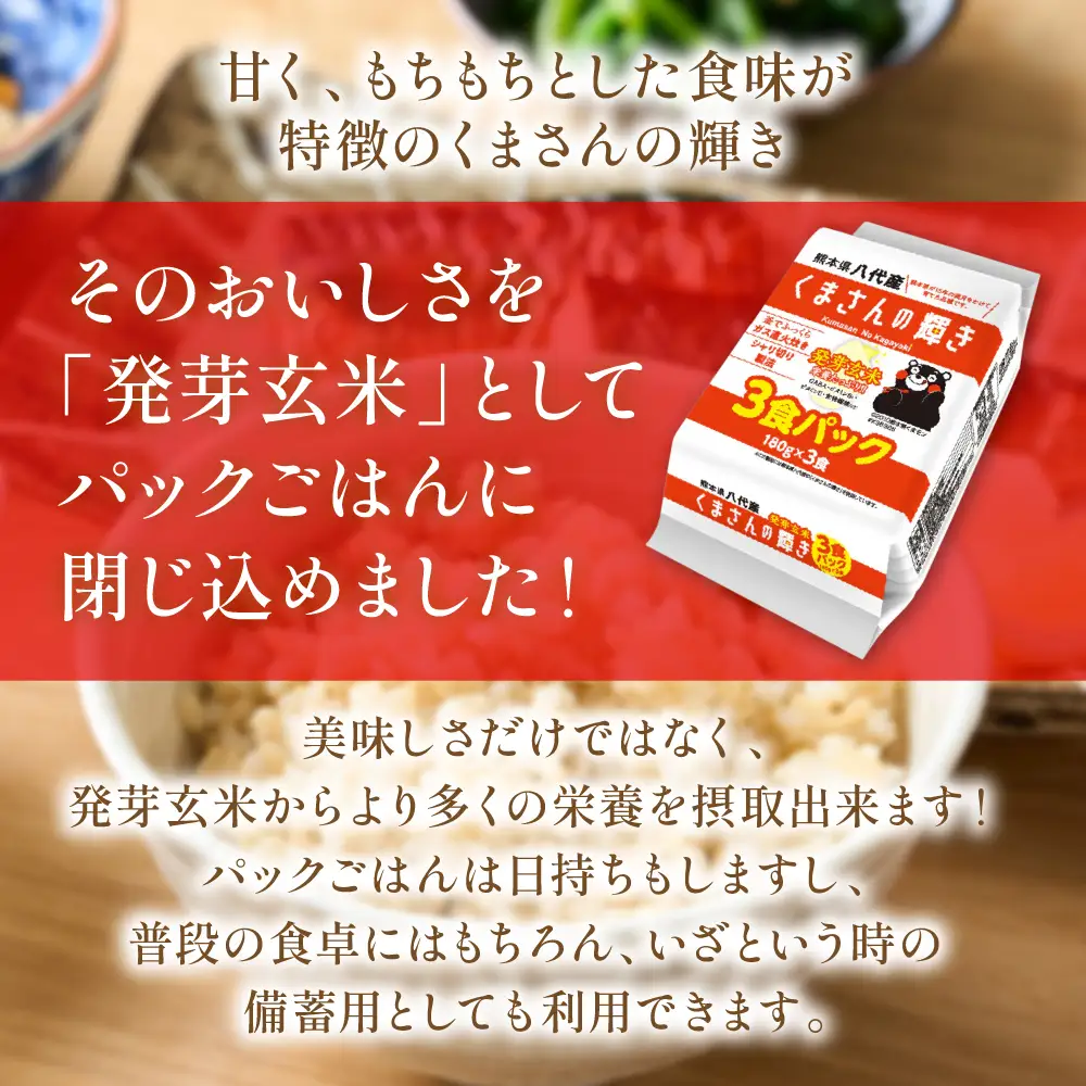 くまさんの輝き 発芽玄米 パックごはん 180g×24個入り 米 お米 コメ 熊本県産 国産 パックご飯 ひとり暮らし 非常食 防災 仕送り 備蓄