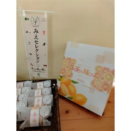 紀の宝マイヤーレモンケーキ～笑み結び～10個入り【1543950】