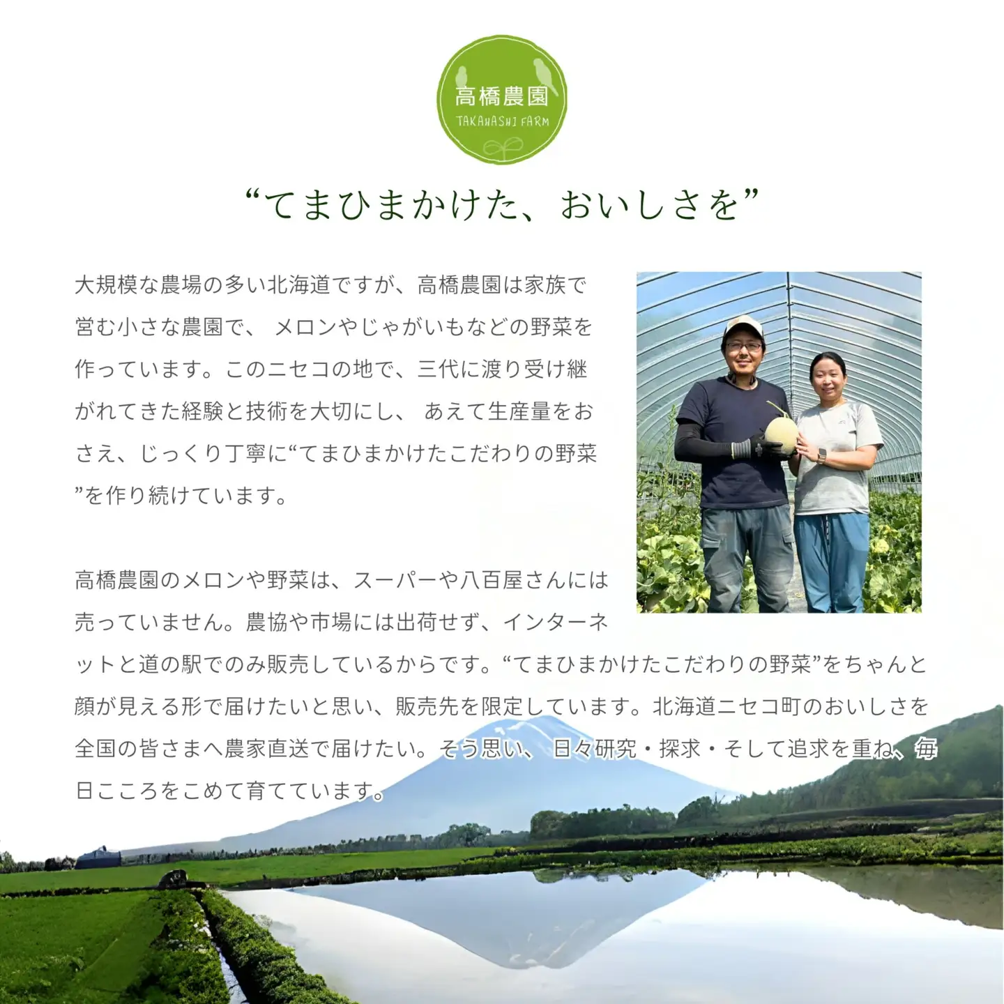 《2026年分受付中》北海道ニセコ名産「キタアカリ」＆「とうや」!新じゃが食べ比べセット（各10kg）/高橋農園【3700701】