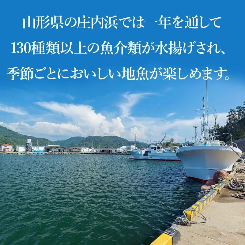 浜のかあちゃんの店　鼠ヶ関港水揚干物＋イカ塩辛＋乾燥紅えびセット　鼠ヶ関水産加工生産組合
