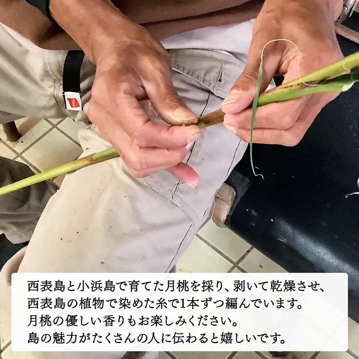 月桃のコースター