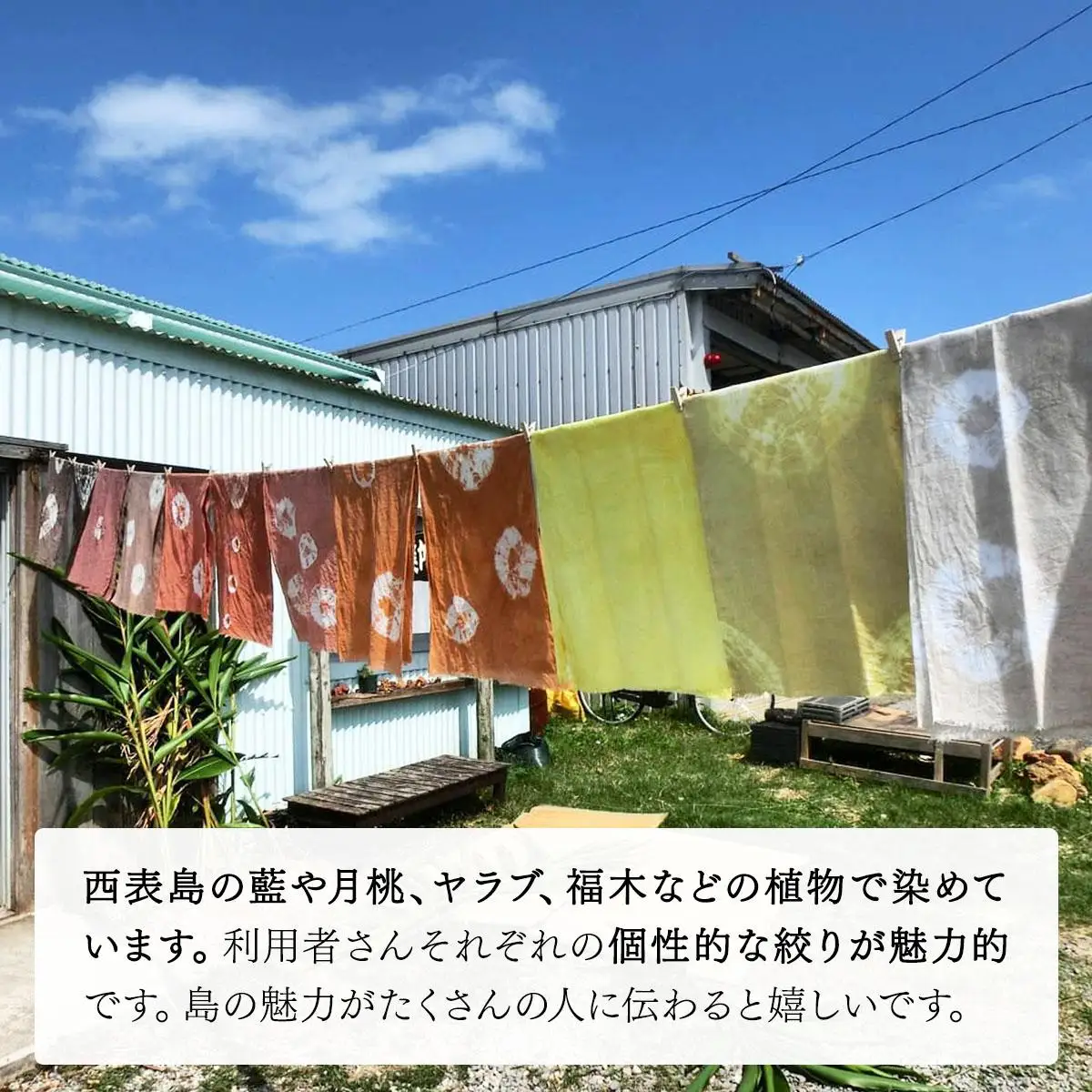 西表島の植物で染めた染物3点セット