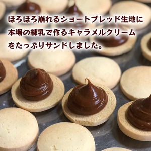 アルファホア 10個 クッキー 焼き菓子 洋菓子 ギフト