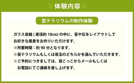 苔テラリウムの制作体験チケット 1名様 苔玉 ワークショップ 苔 コケ 植物 