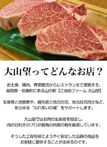 大山望 鳥取和牛 切り落とし肉（もも、腕）500g 牛肉 和牛 お肉 切り落とし