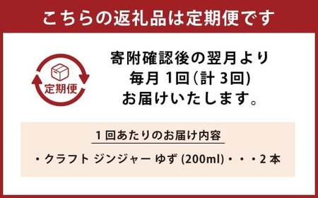 【3ヵ月定期便】 Craft GingerY （ゆず） 200ml×2 無添加 国産 ピリリと生姜にゆず香る ジンジャーシロップ 合計1.2L ／  シロップ しょうが ジンジャー 柚子 ユズ 高知県 香美市