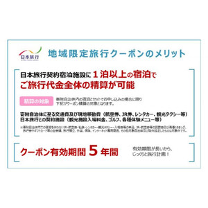 長野県長野市　日本旅行　地域限定旅行クーポン60,000円分 チケット | 旅行券 旅行クーポン クーポン 旅行 日本旅行 人気 おすすめ 観光 宿泊 長野県 長野市 信州 信濃 ふるさと納税