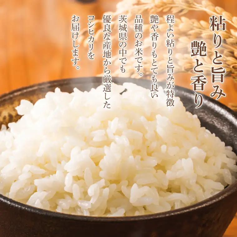 コシヒカリ 5kg (5kg × 1袋)【令和7年産】米 精米 白米 こしひかり 茨城県 鹿嶋市 国産 送料無料 お米 ごはん おにぎり 冷めても 美味しい 粘り うまみ 厳選 出荷直前精米 ツヤ かおり うまい（KY-19）