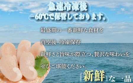 平貝 と小柱のセット 14個 冷凍 平貝 タイラギ 貝 魚貝類 魚貝 タイラガイ 魚介 貝類 冷凍 BBQ タイラギ 貝 魚貝類