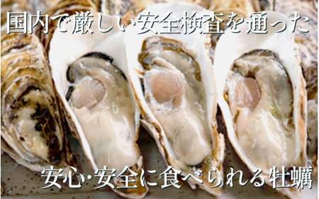 牡蠣 かき 生食用 冷蔵 12個 1ダース 朋輩 牡蠣 篠島 かき 貝 かい オイスター 篠島 かき 貝 かい オイスター 篠島 かき
