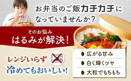【白米】はるみ米 10kg 白米 [BDBB003]
