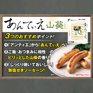 無塩せき ウインナー あんてぃえ 山葵 100g x 10p 計1.0kg ウインナー 北海道_05365