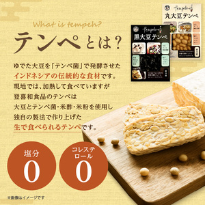 国産大豆100％使用した登喜和食品のテンペ！大豆丸ごと無塩発酵の健康食品！ 登喜和食品のテンペセット 高たんぱく 食物繊維 豊富 発酵食品 健康志向 のあなたへ_S044-0004