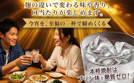 【ちび霧セット】黒霧島・白霧島パック(25度)900ml各1本≪みやこんじょ特急便≫_LG-M802_(都城市) 10日以内お届け スピード配送 霧島酒造 白霧島 黒霧島 本格芋焼酎 25度 900mlパック×2本セット 5合 本格焼酎 いも焼酎 定番 焼酎 お酒 キリボール 宮崎県 都城市
