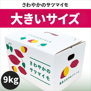 【予約受付中・2026年10月頃より順次発送】さわやかのサツマイモ 大きいサイズ 9kg 　鳴門　サツマイモ　ねっとり　甘い　天ぷら　スイーツ　焼き芋　さつまいも