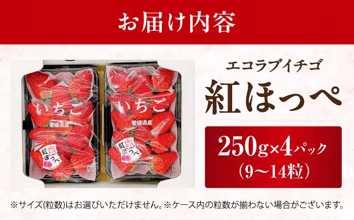 いちご 「紅ほっぺ」 4パック 【株式会社フジ・アグリフーズ】BKAY002