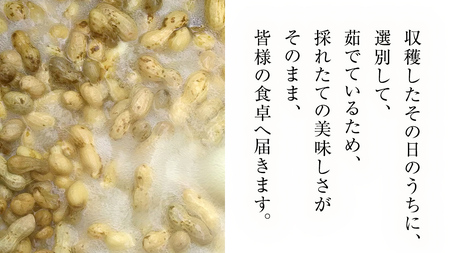 牛久市産 茹で 落花生 300g × 2袋 セット 計600g