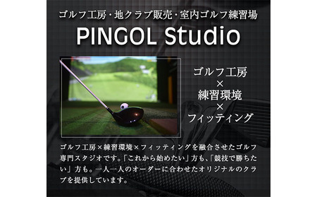 ゴルフ ドライバー イクイノックスリミテッドドライバー Equinox Limited Driver 1本 《60日以内に出荷予定(土日祝除く)》 PINGOL Studio 千葉県 我孫子市 スポーツ