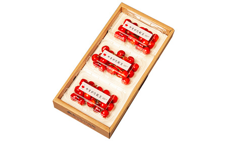 やまがた紅王 約540g 2～3Lサイズ (180g×3パック) 【令和8年産先行予約】FS25-020