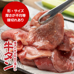 牛タン塩ダレ仕込み切り落とし3kg（500g×6パック）【配送不可：離島】 牛タン