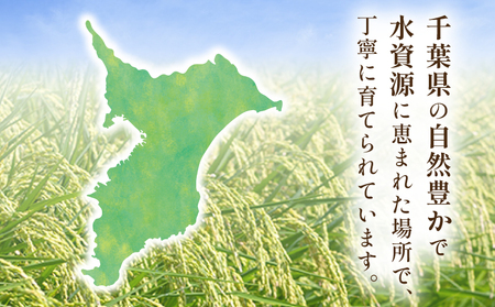 【令和7年産】 コシヒカリ 5kg 精米 白米 米 コメ