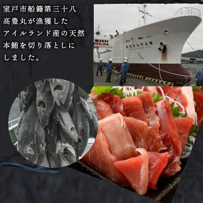 【定期便/計6回】天然本マグロ200g（切り落とし） 【まぐろ】tk148