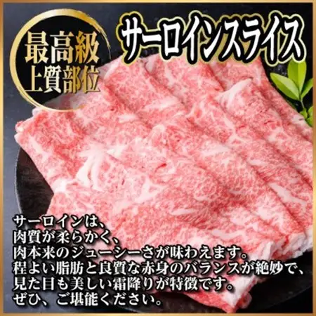 飛騨牛　厳選サーロインスライス　1kg(500g×2) 黒毛和牛　小分け　しゃぶしゃぶ用　A4～A5【配送不可地域：離島】【1653667】