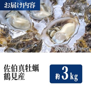 佐伯真牡蠣 鶴見産 (約3kg) 牡蠣 カキ 新鮮 小分け 生牡蠣 生カキ カキフライ 鍋 大分県 佐伯市【生食可】【EW062】【Up】