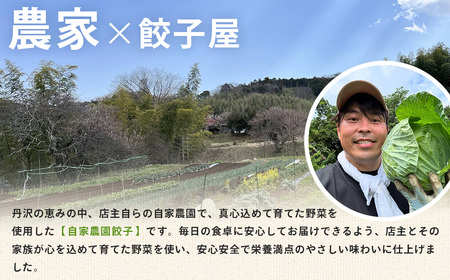 ３種の餃子食べ比べセット｜金輝餃子 冷凍 手作り 国産食材