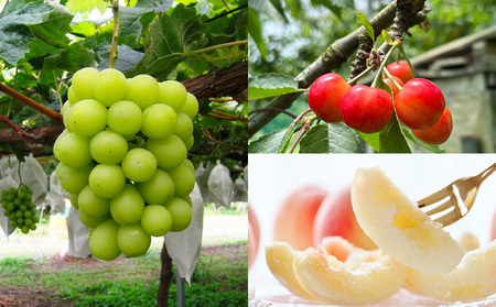 【定期便3回】☆フルーツ王国山形☆『佐藤錦、白桃、シャインマスカット』 FZ26-814