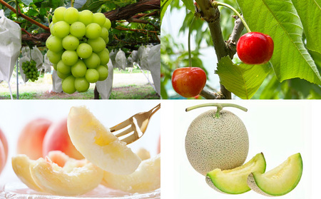 【定期便4回】☆フルーツ王国山形☆『紅秀峰、白桃、メロン、シャインマスカット』 FY25-317