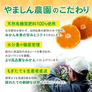 【訳あり・ご家庭用】こだわりの有田みかん 約5kg＋150g(傷み補償分)  光センサー選別【CE-nuk160D-12】