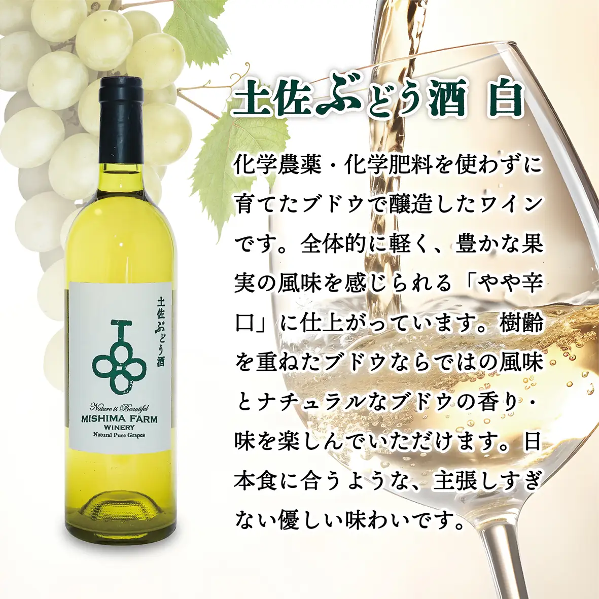 土佐ぶどう酒　白[mf-001]