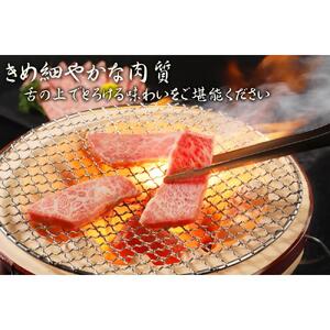 近江牛 A5ランク 焼肉セット 800g（ 肩ロース400g、モモ400g ）