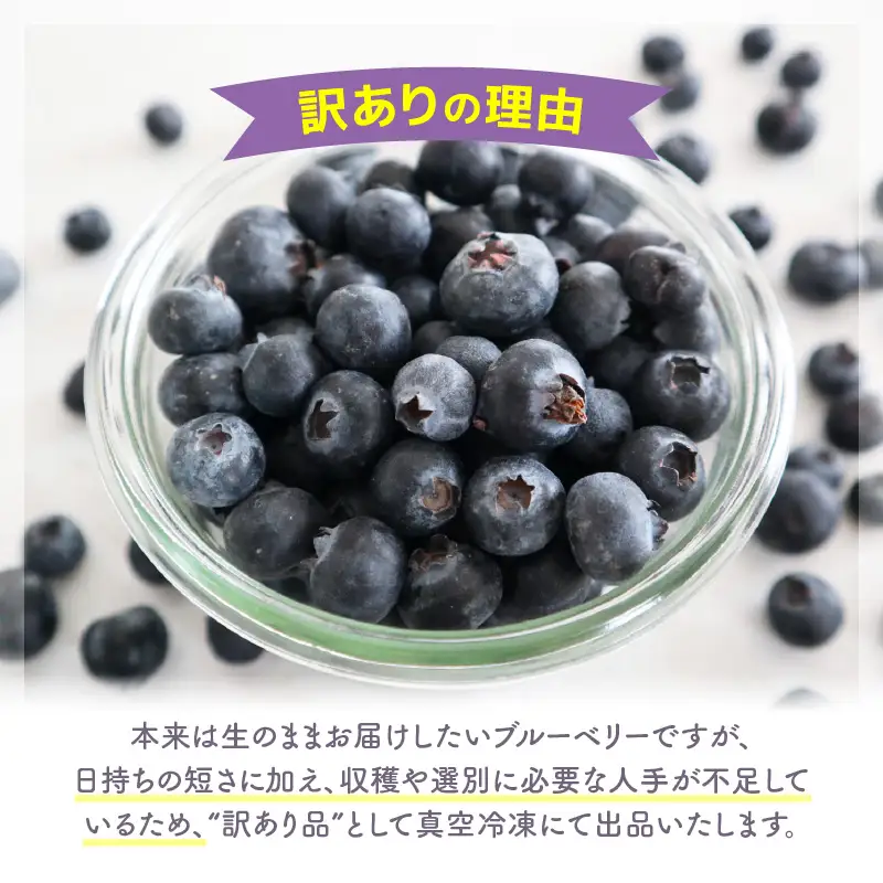 【訳あり】冷凍果実 福井県あわら市産 生食用ブルーベリー 真空冷凍 400g / ブルーベリー 冷凍 国産 目の健康 大粒 抗酸化作用 フルーツ 果物 お取り寄せ [aw007-a008]