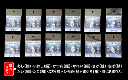 魚編のコツ（ボールチェーン） 選べる12種類！【DF007】