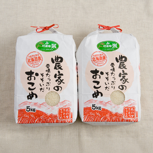 【9ヵ月定期便】北海道南るもい産　ななつぼし(白米)5kg×2袋 R011-049