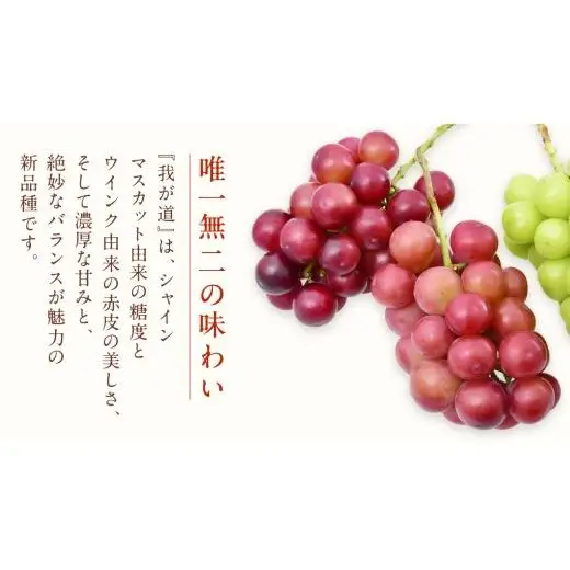 我が道 ４房【2026年9月上旬発送開始】(茨城県共通返礼品：大子町) 