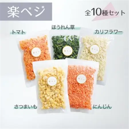 冷凍フルーツと野菜を手軽に!ダイスフルーツと野菜の楽ベジ10種セット【配送不可地域：離島】【1644036】