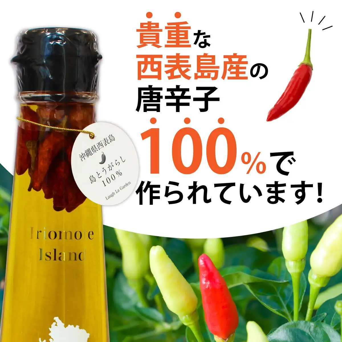 コーレーガーリックオイル