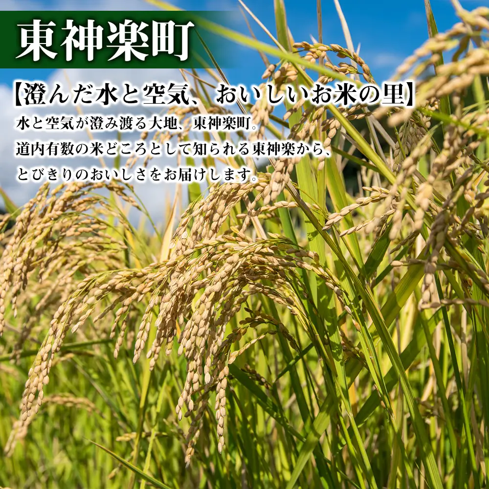 北海道 東神楽町 ☆応援寄附金【返礼品なし】100,000円分
