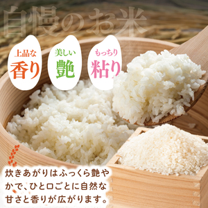 【数量限定】【令和7年産】水戸産コシヒカリ5kg 精米 (NP-3)