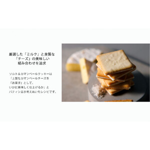 【東京ミルクチーズ工場】ソルト&カマンベールクッキー9枚入10箱セット